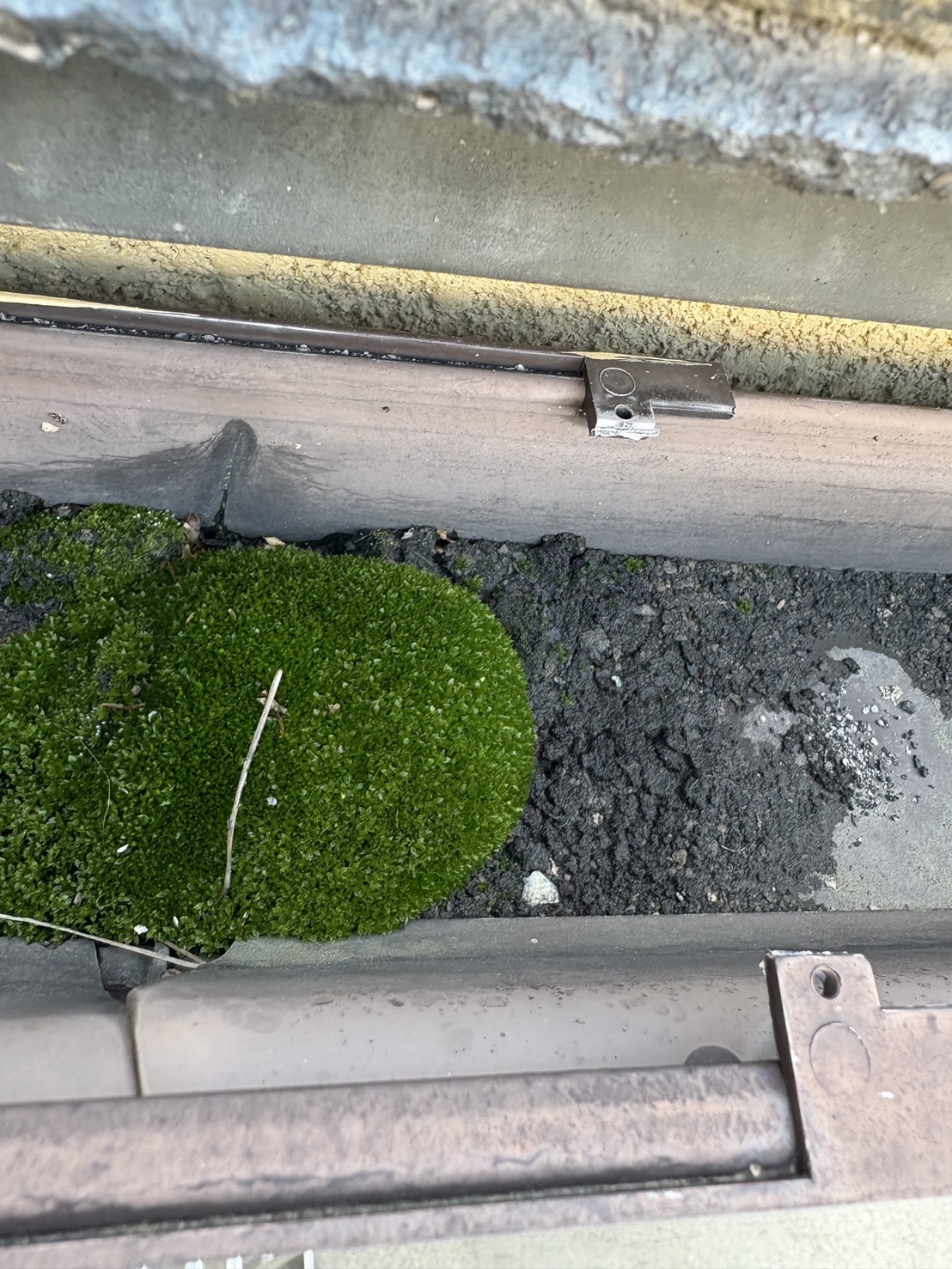 枚方市Ｋ様　雨樋工事